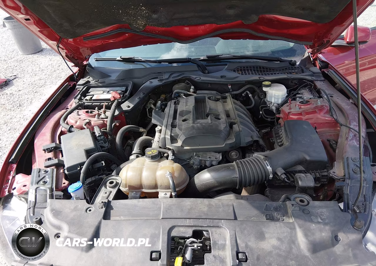 2020 Ford Mustang Ecoboost Fastback VIN:1FA6P8TH2L5186613 - 10