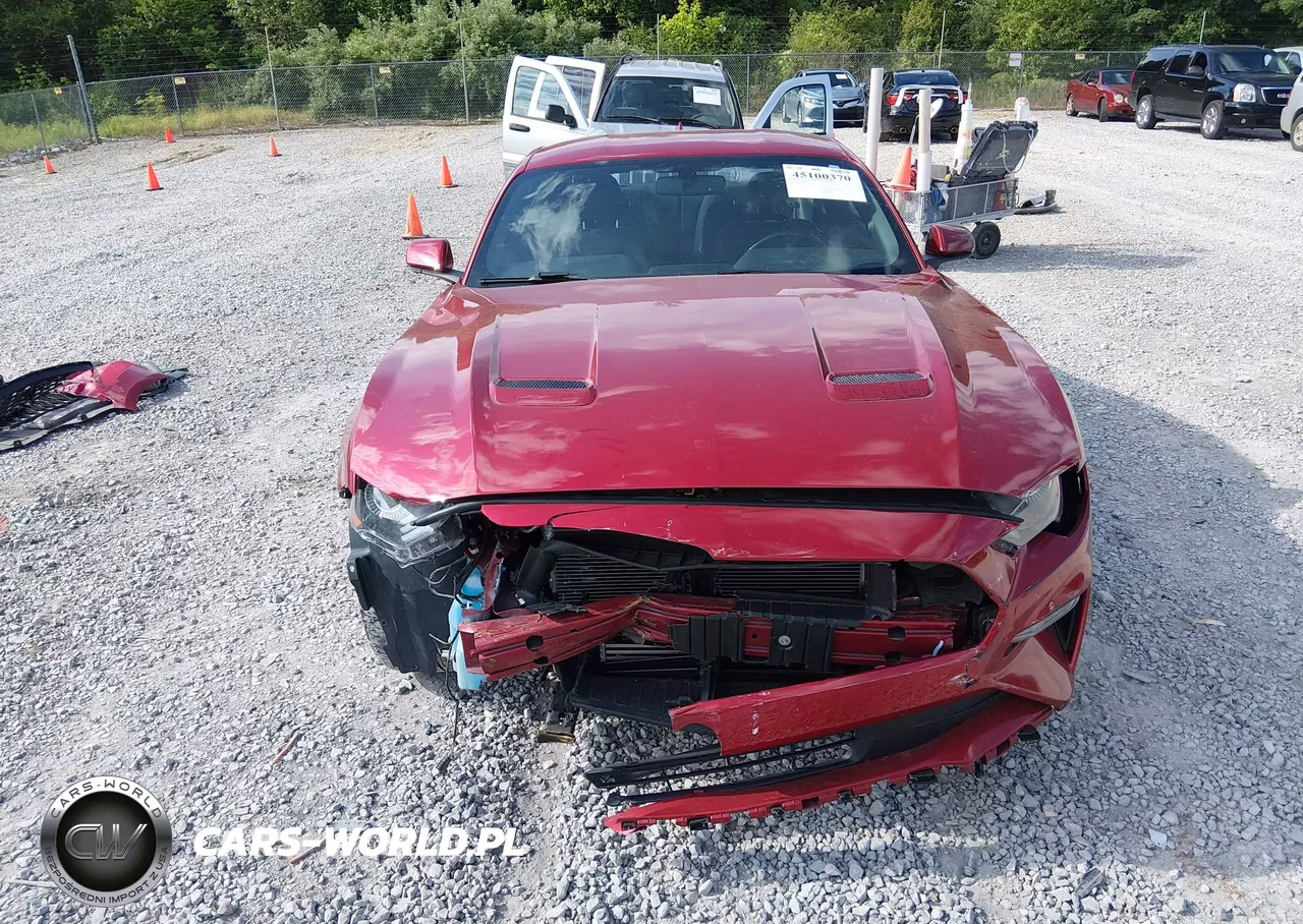 2020 Ford Mustang Ecoboost Fastback VIN:1FA6P8TH2L5186613 - 12