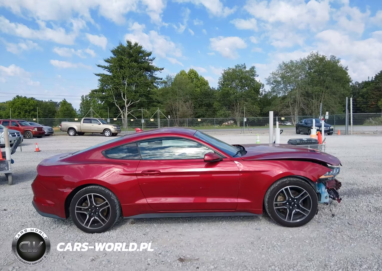 2020 Ford Mustang Ecoboost Fastback VIN:1FA6P8TH2L5186613 - 13