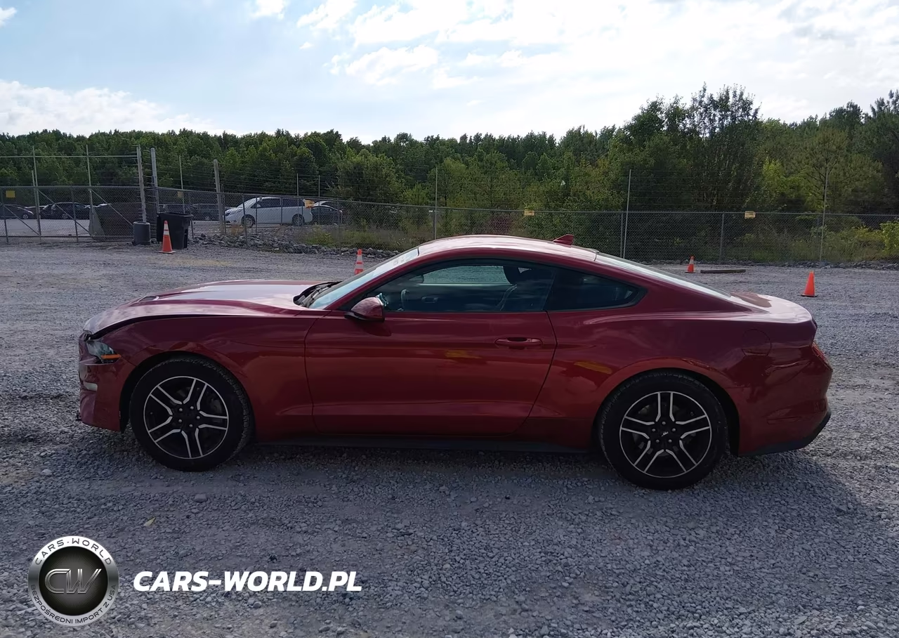2020 Ford Mustang Ecoboost Fastback VIN:1FA6P8TH2L5186613 - 14