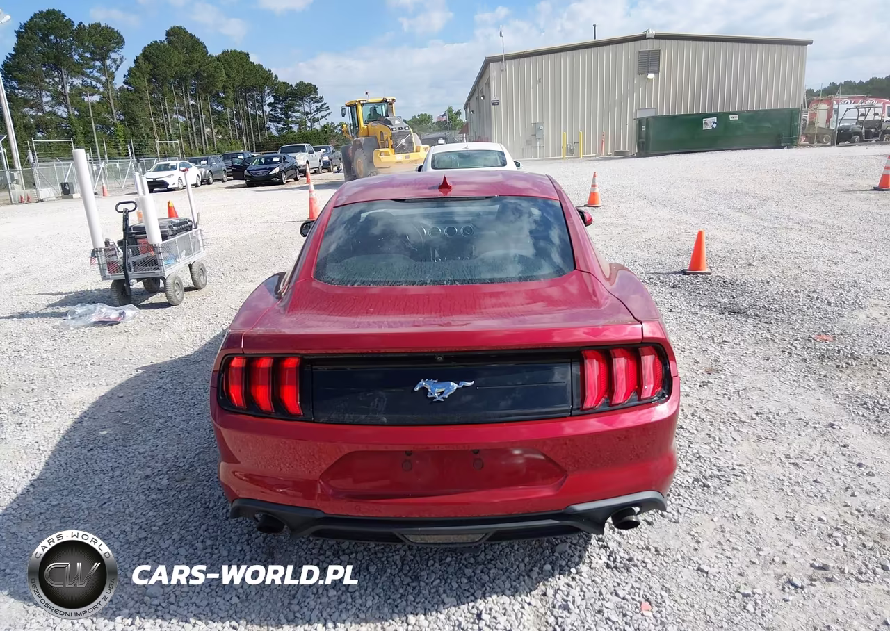 2020 Ford Mustang Ecoboost Fastback VIN:1FA6P8TH2L5186613 - 16