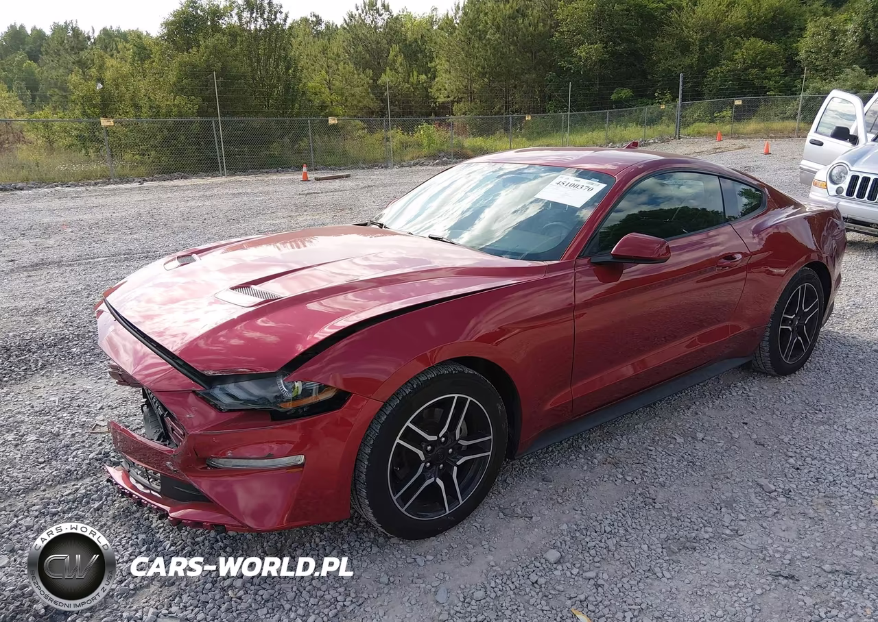 2020 Ford Mustang Ecoboost Fastback VIN:1FA6P8TH2L5186613 - 2