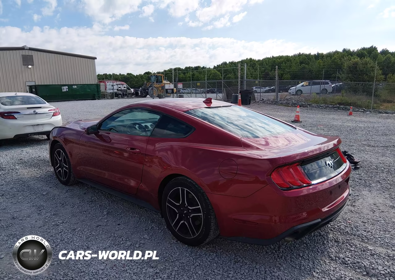 2020 Ford Mustang Ecoboost Fastback VIN:1FA6P8TH2L5186613 - 3