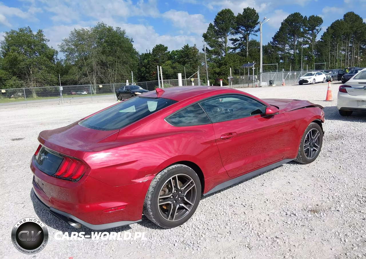 2020 Ford Mustang Ecoboost Fastback VIN:1FA6P8TH2L5186613 - 4