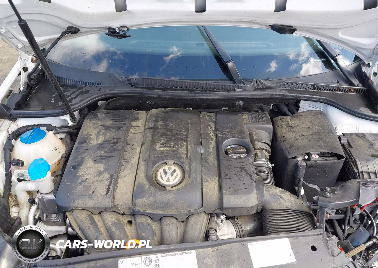 2013 Volkswagen Golf 2.5L 4-Door VIN:WVWDB7AJ5DW024180 - 10