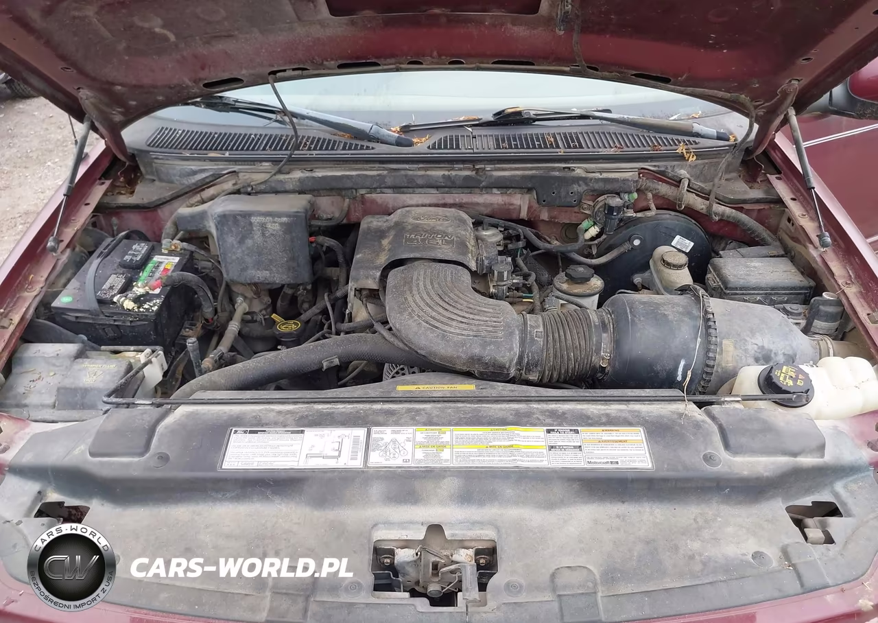 1998 Ford F-150 Lariat-Standard-Xl-Xlt VIN:1FTZX1769WKB89246 - 10