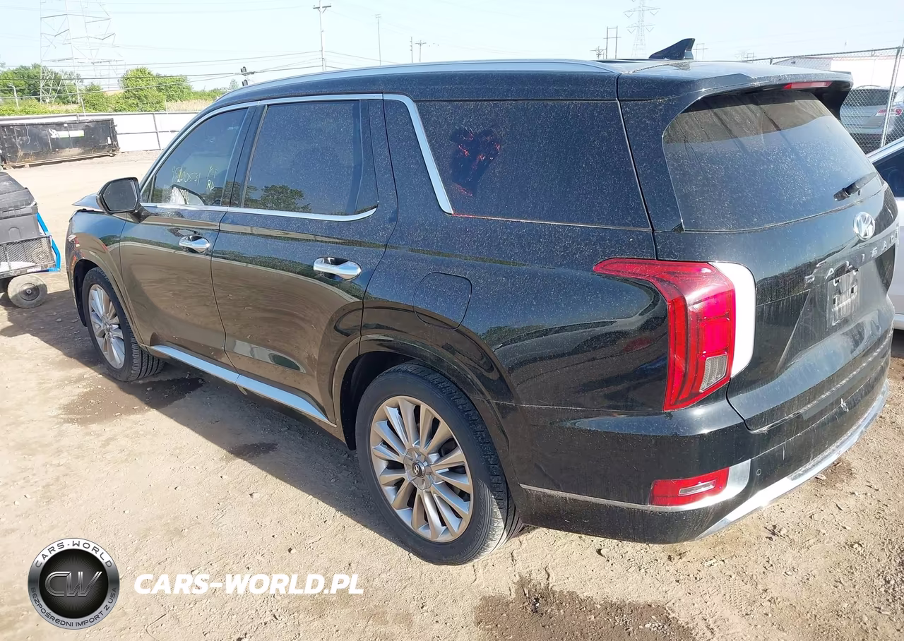 2020 Hyundai Palisade Limited VIN:KM8R5DHE8LU165805 - 3