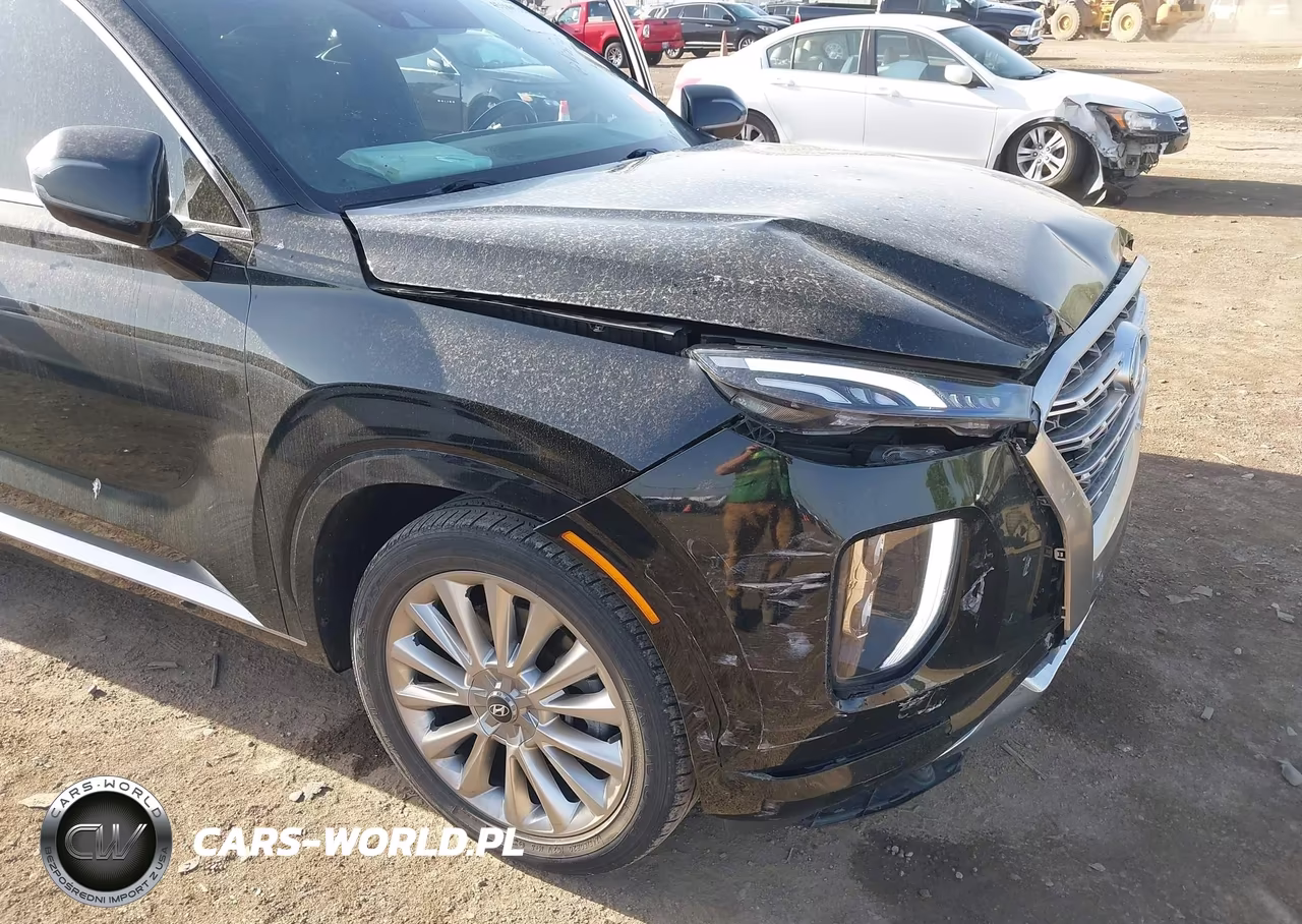 2020 Hyundai Palisade Limited VIN:KM8R5DHE8LU165805 - 6