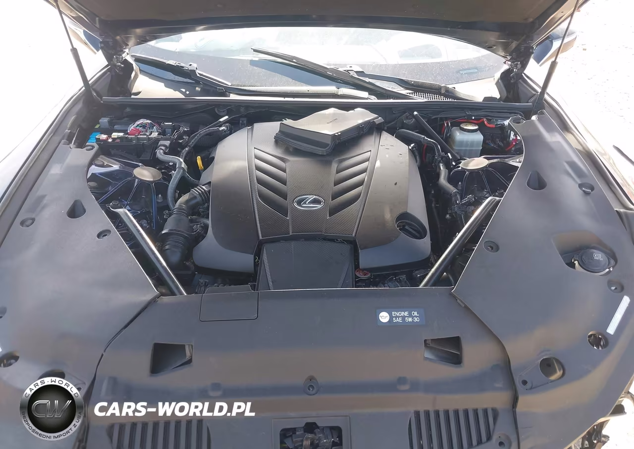 2021 Lexus Lc 500 VIN:JTHKPAAY3MA103328 - 10