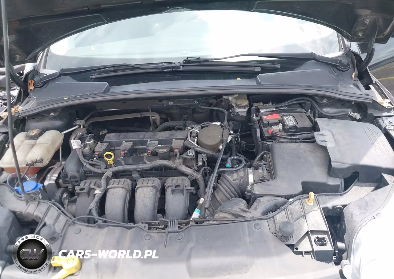 2014 Ford Focus Se VIN:1FADP3K23EL195598 - 10