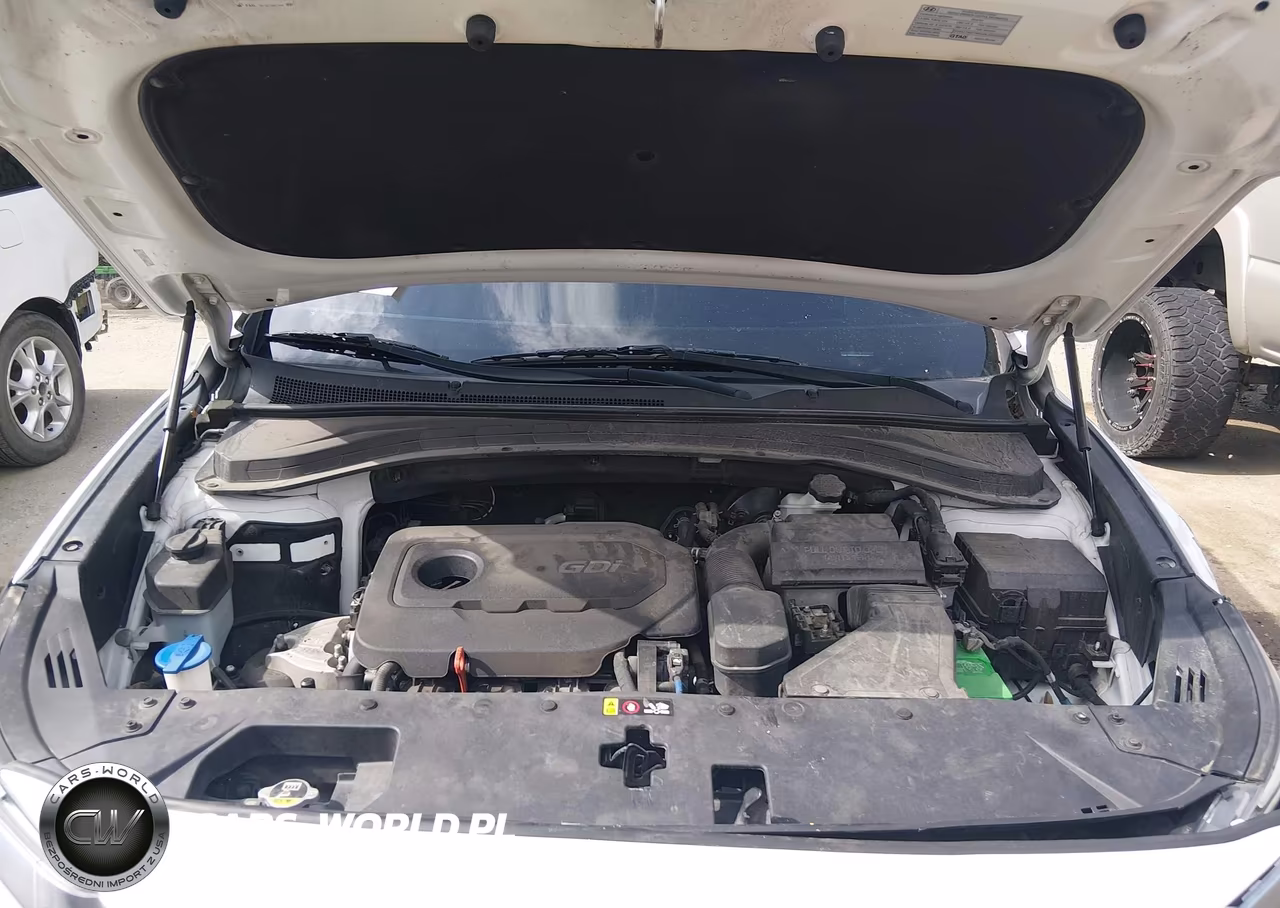2019 Hyundai Santa Fe Ultimate VIN:5NMS53ADXKH132246 - 10