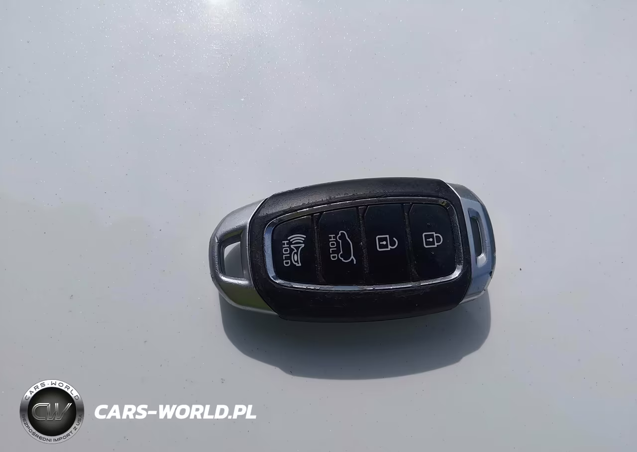2019 Hyundai Santa Fe Ultimate VIN:5NMS53ADXKH132246 - 11