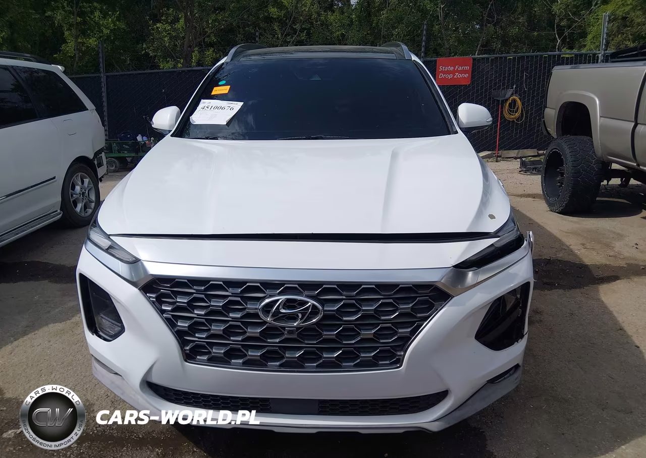 2019 Hyundai Santa Fe Ultimate VIN:5NMS53ADXKH132246 - 12