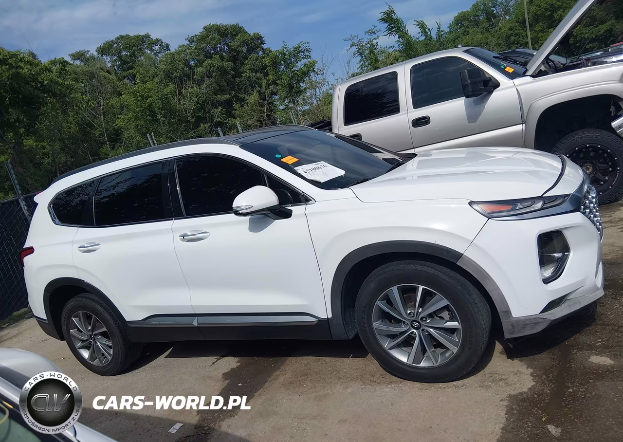 2019 Hyundai Santa Fe Ultimate VIN:5NMS53ADXKH132246 - 13