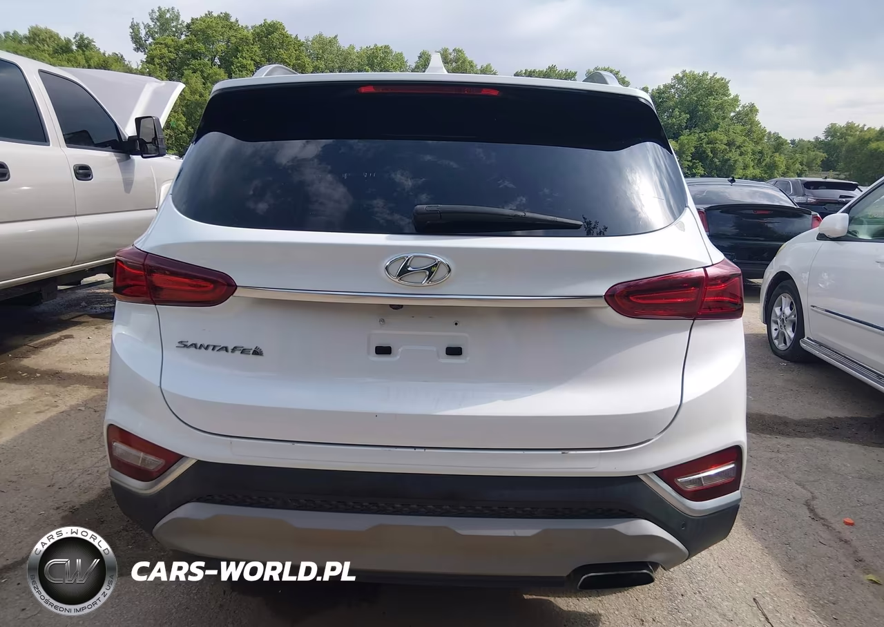 2019 Hyundai Santa Fe Ultimate VIN:5NMS53ADXKH132246 - 16