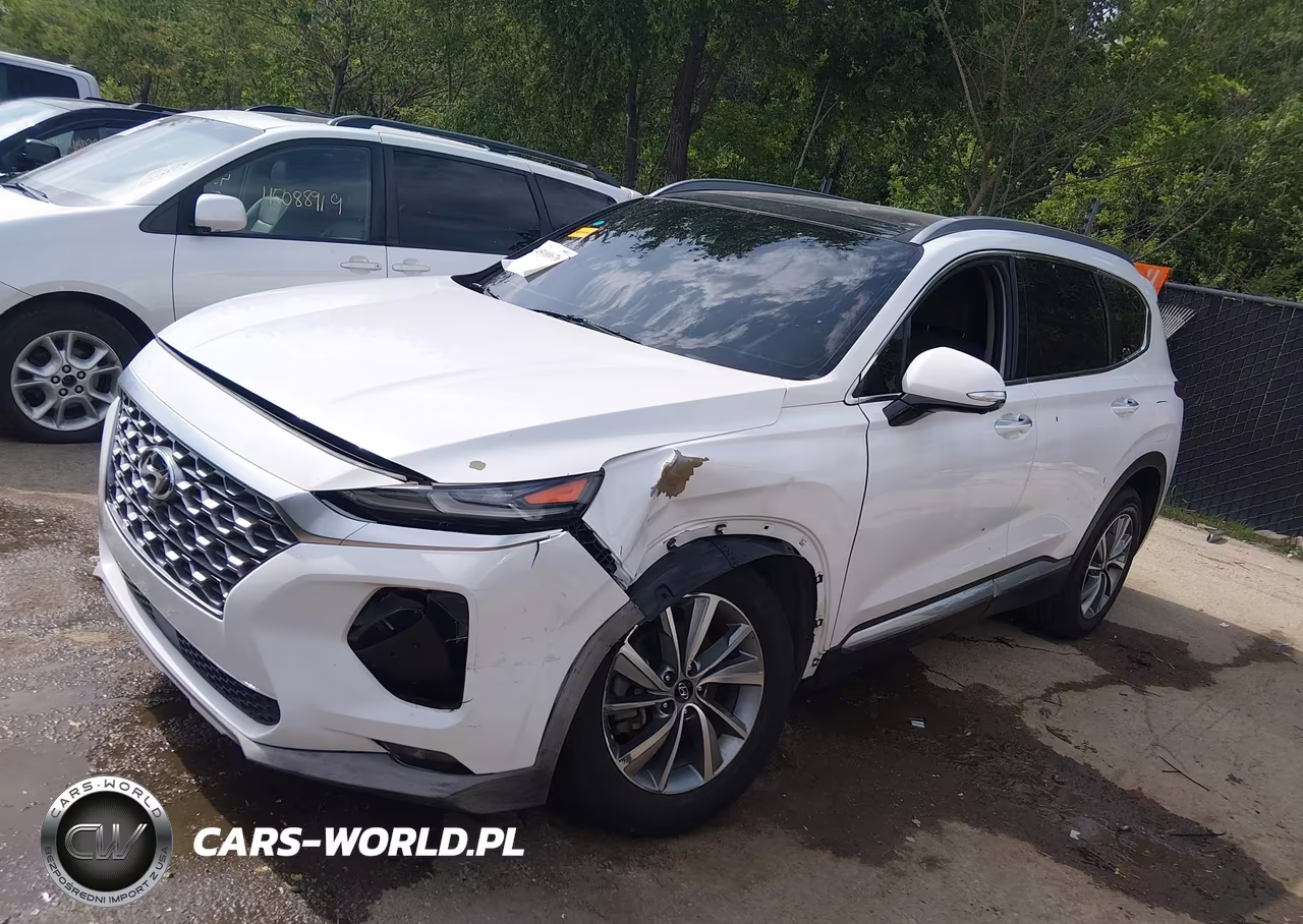 2019 Hyundai Santa Fe Ultimate VIN:5NMS53ADXKH132246 - 2