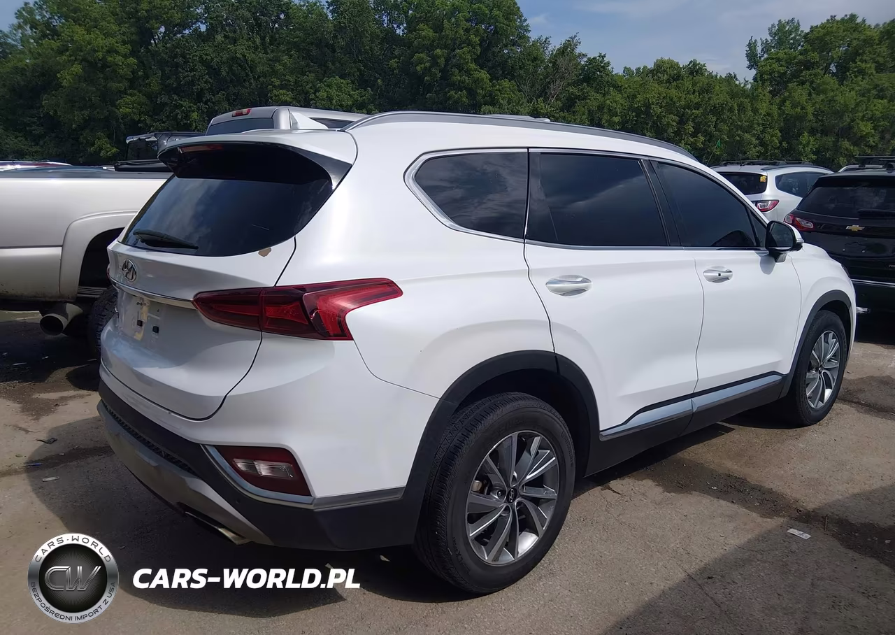 2019 Hyundai Santa Fe Ultimate VIN:5NMS53ADXKH132246 - 4
