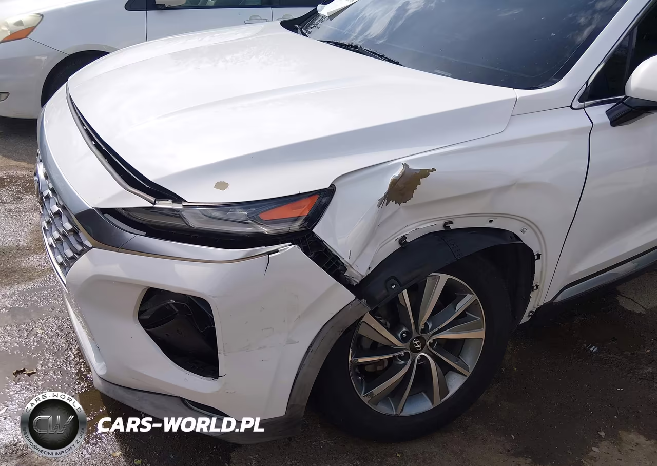 2019 Hyundai Santa Fe Ultimate VIN:5NMS53ADXKH132246 - 6