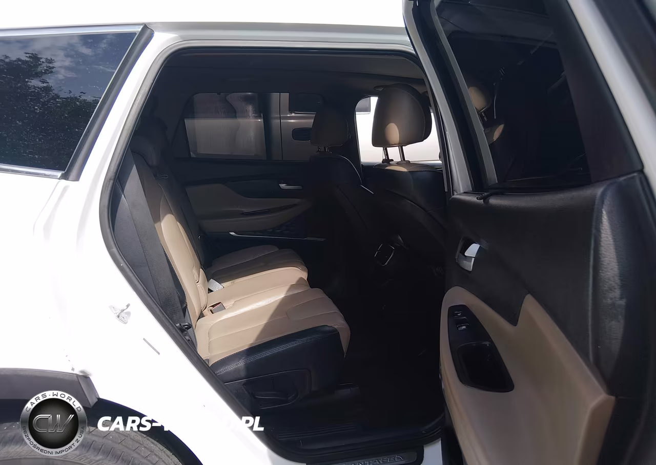 2019 Hyundai Santa Fe Ultimate VIN:5NMS53ADXKH132246 - 8