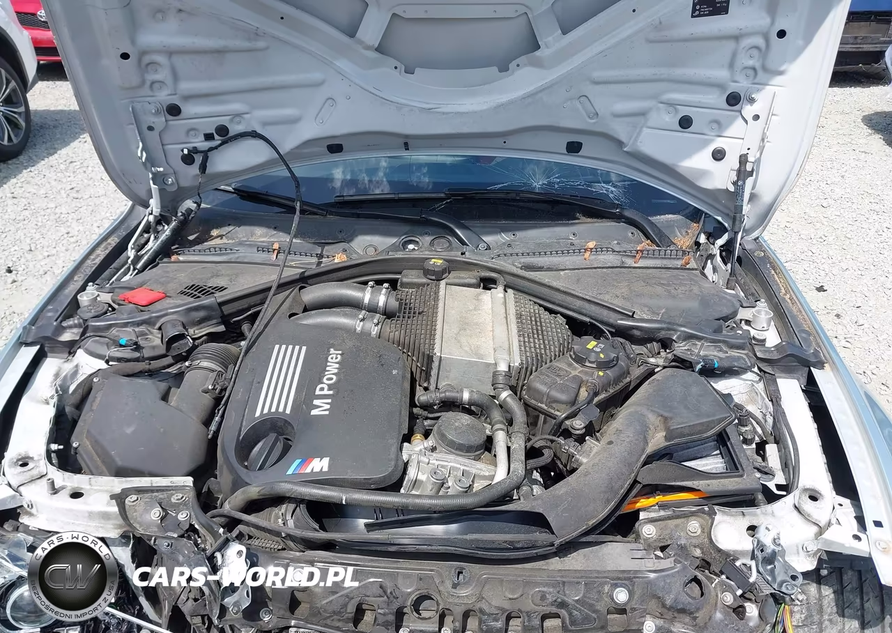 2016 BMW M3 VIN:WBS8M9C53G5D31618 - 10