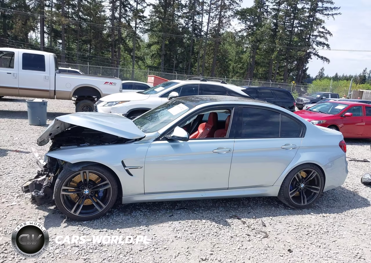 2016 BMW M3 VIN:WBS8M9C53G5D31618 - 15