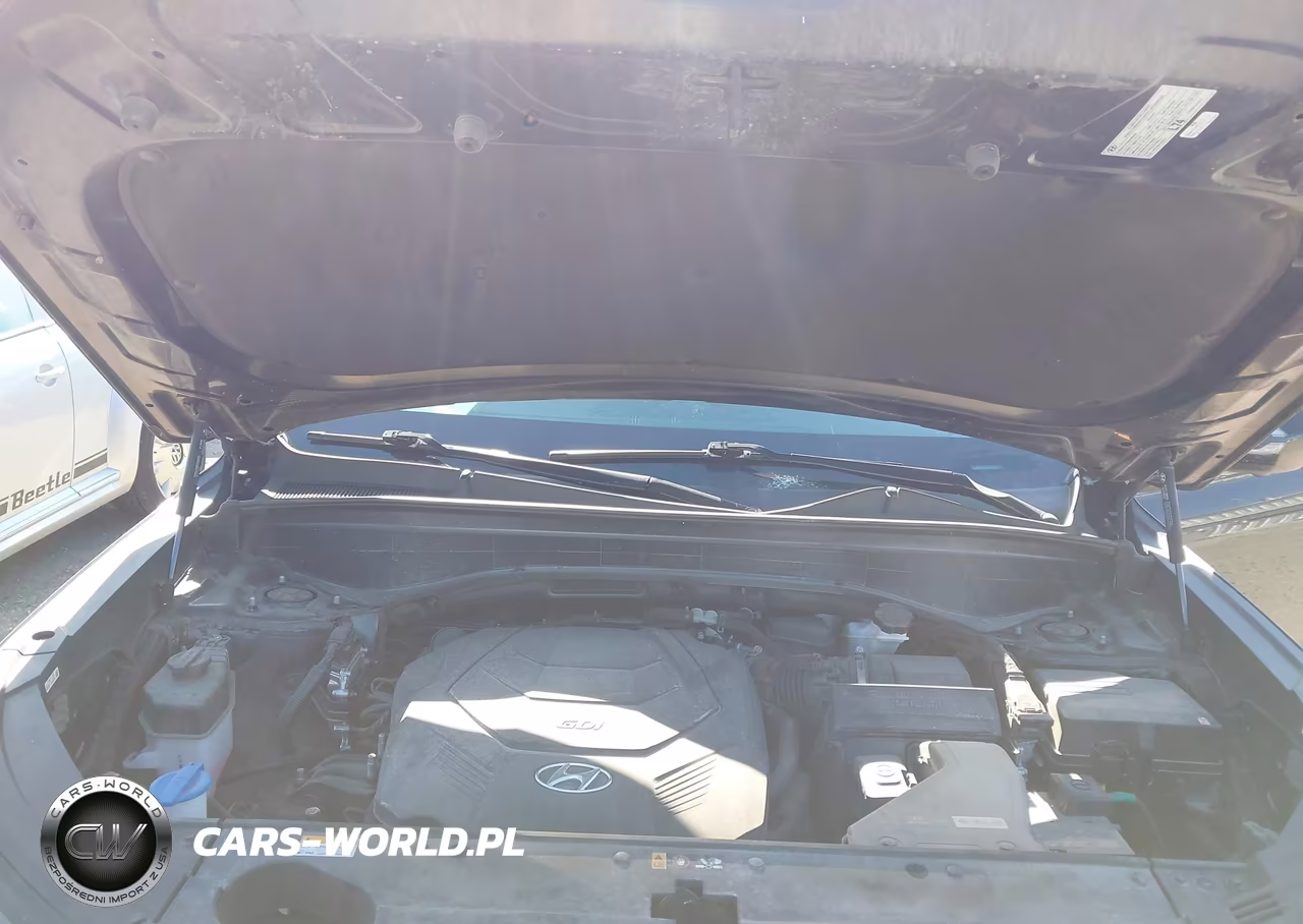 2024 Hyundai Palisade Sel VIN:KM8R4DGE9RU759204 - 10