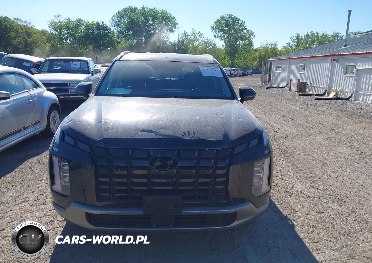 2024 Hyundai Palisade Sel VIN:KM8R4DGE9RU759204 - 12
