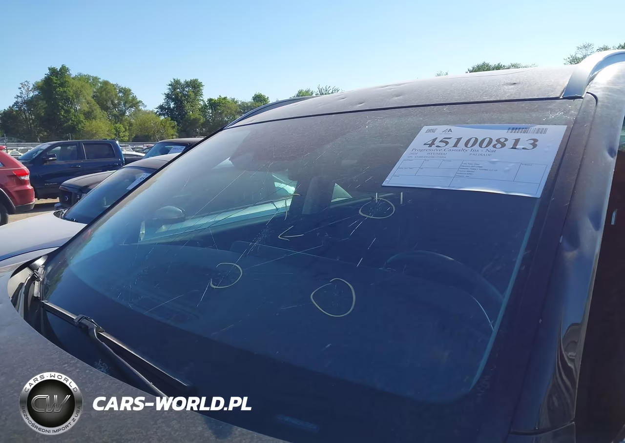 2024 Hyundai Palisade Sel VIN:KM8R4DGE9RU759204 - 17