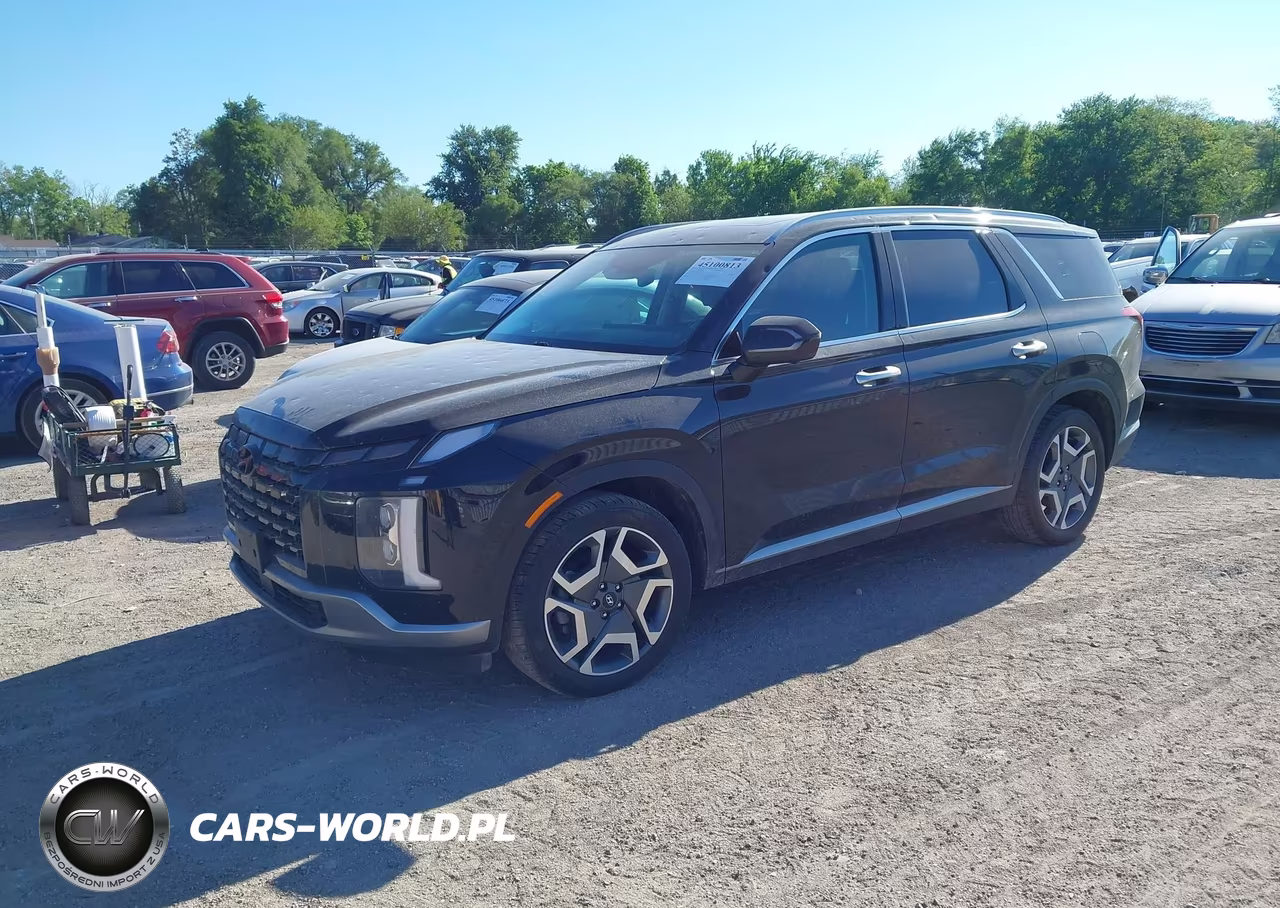 2024 Hyundai Palisade Sel VIN:KM8R4DGE9RU759204 - 2