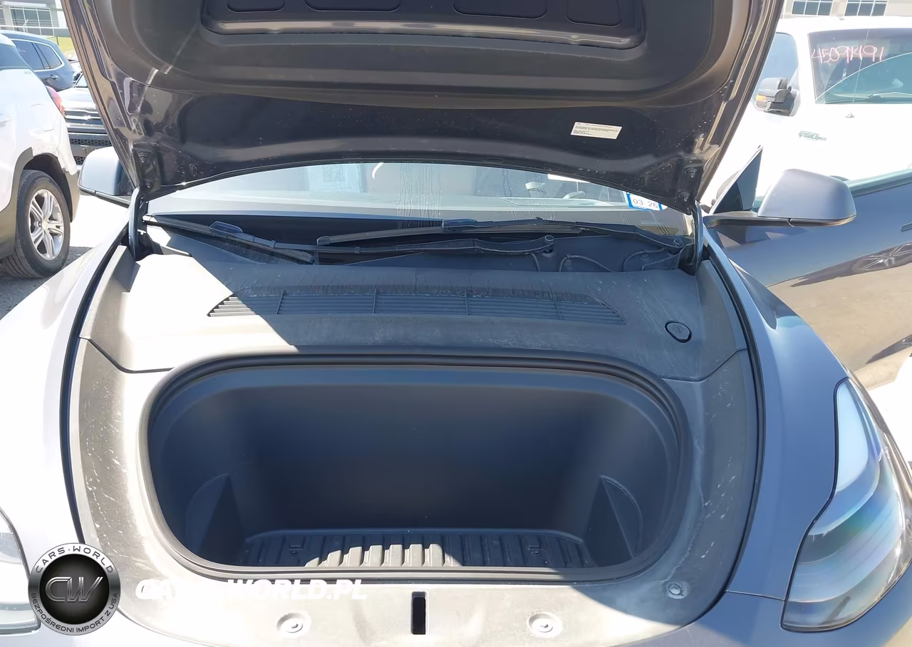 2023 Tesla Model Y Performance Dual Motor All-Wheel Drive VIN:7SAYGDEF5PF668944 - 10