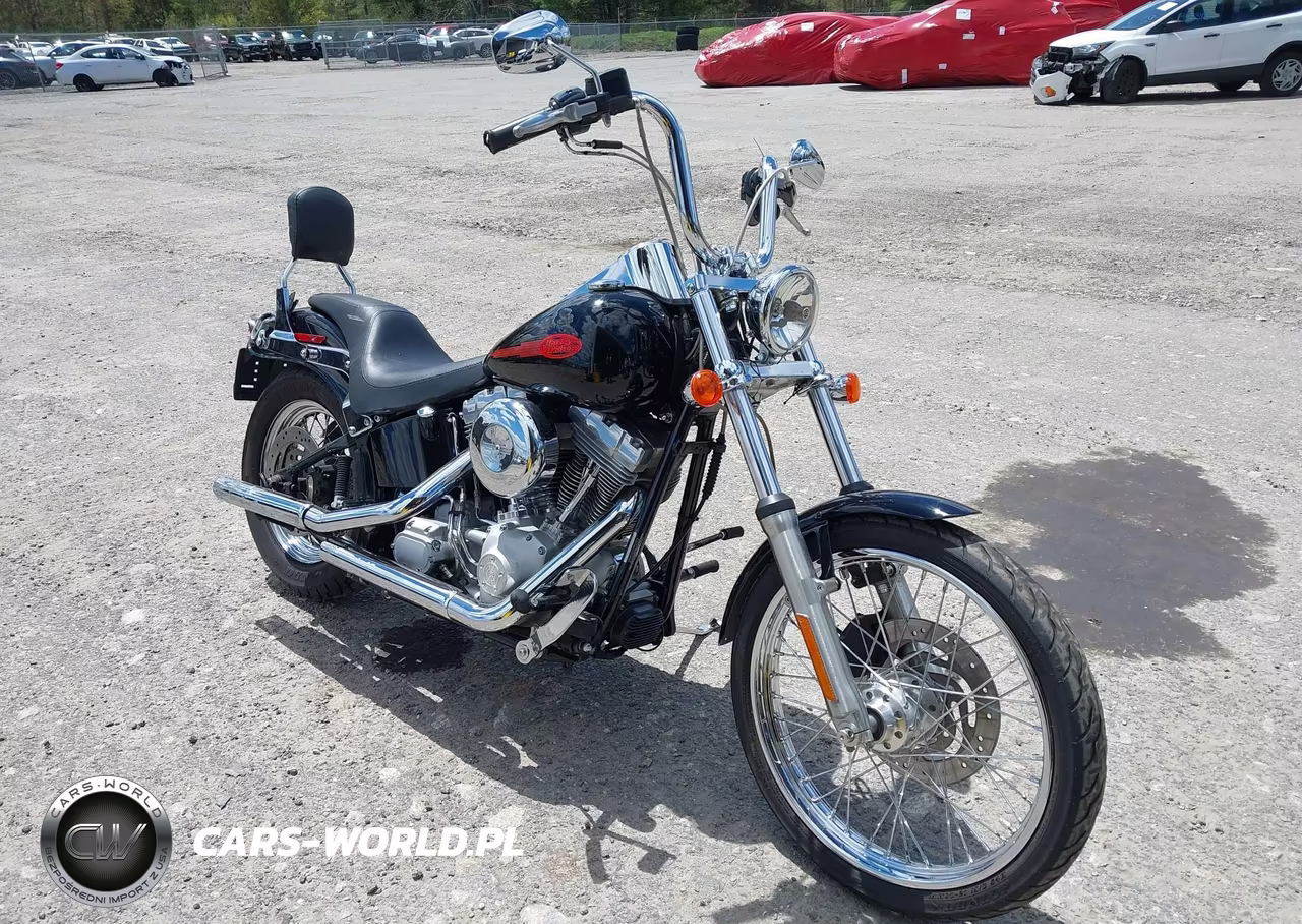 Główne zdjęcie 2005 Harley-Davidson Fxsti