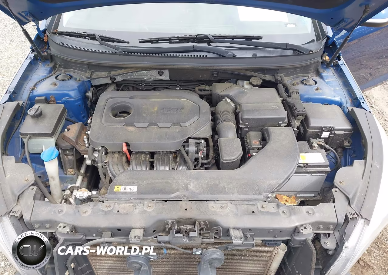 2015 Hyundai Sonata Sport VIN:5NPE34AF4FH031884 - 10