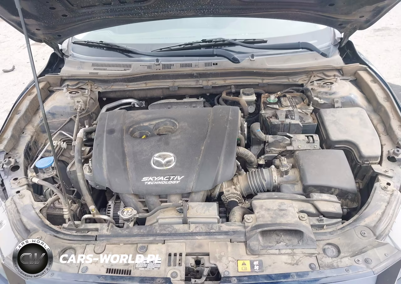 2016 Mazda Mazda3 I Sport VIN:3MZBM1T73GM324382 - 10