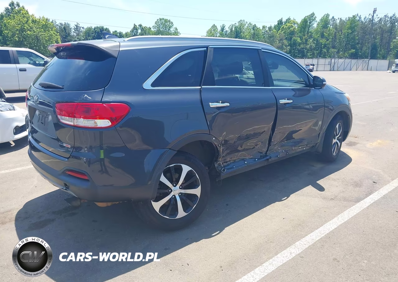 2016 Kia Sorento 2.0T Ex VIN:5XYPH4A11GG128421 - 4