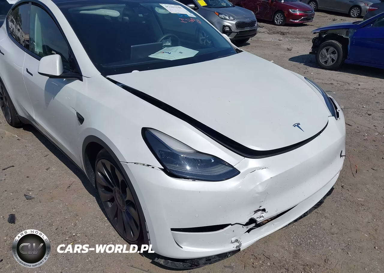 2022 Tesla Model Y Performance Dual Motor All-Wheel Drive VIN:7SAYGDEF3NF379669 - 19