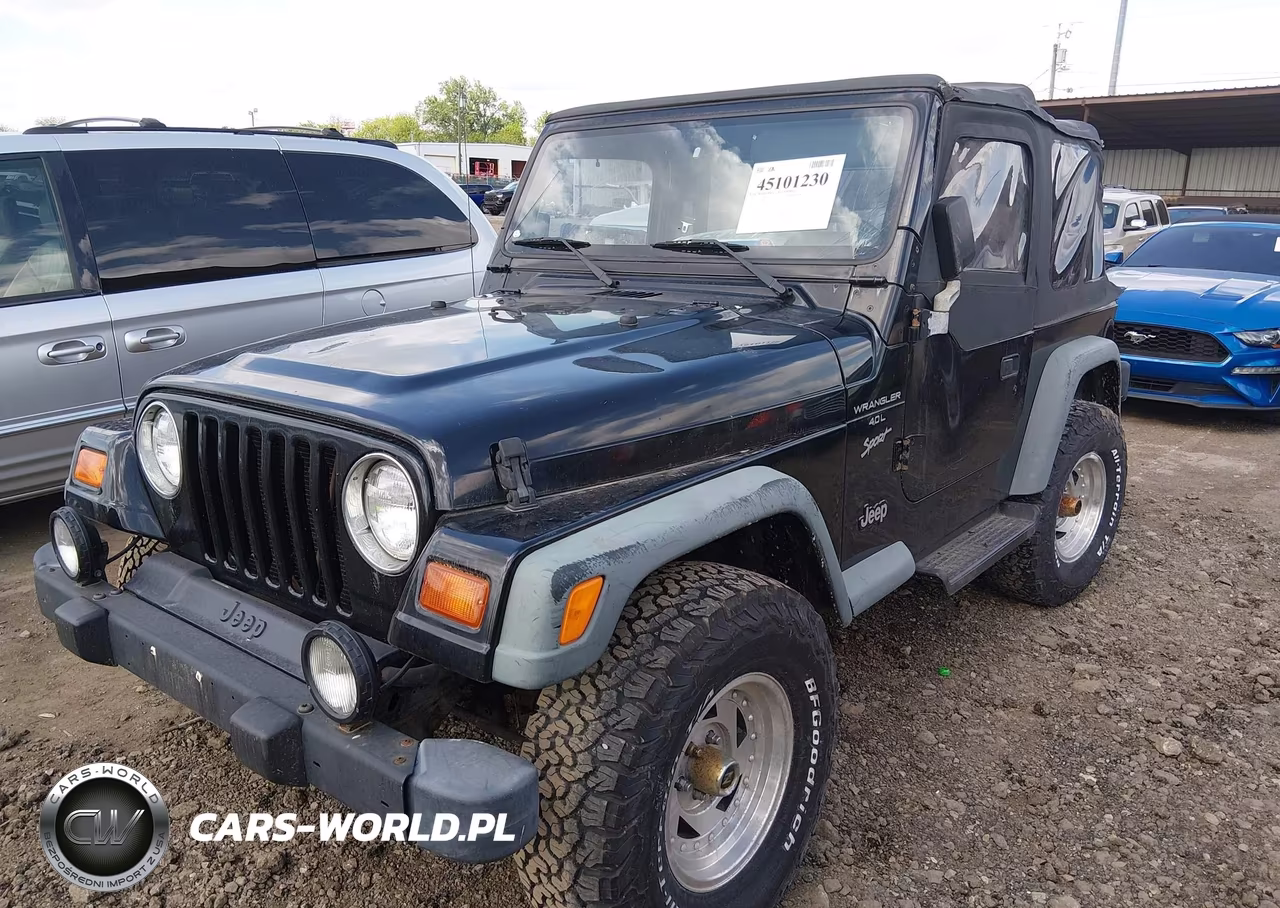 1999 Jeep Wrangler Sport VIN:1J4FY19S9XP466132 - 2