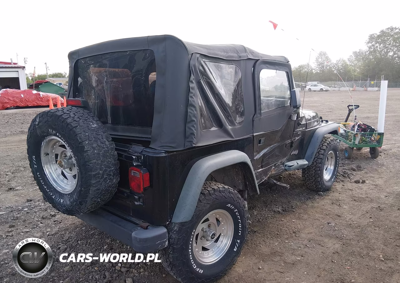 1999 Jeep Wrangler Sport VIN:1J4FY19S9XP466132 - 4