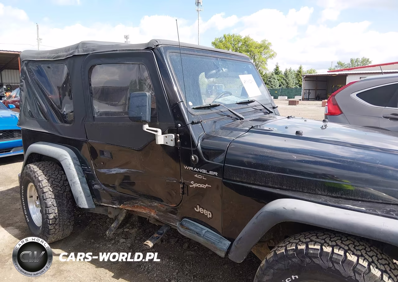 1999 Jeep Wrangler Sport VIN:1J4FY19S9XP466132 - 6