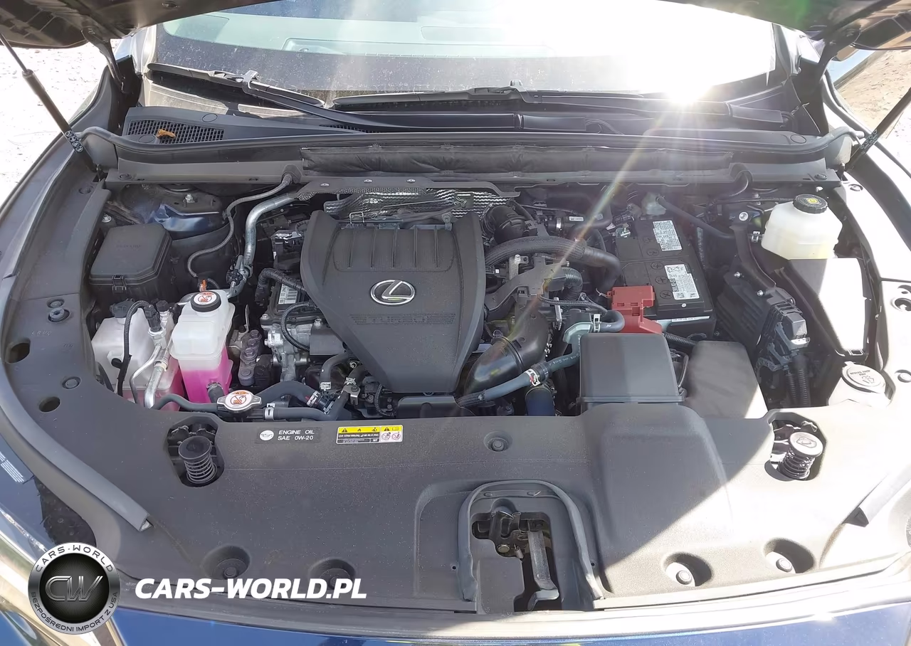 2024 Lexus Rx 350 Premium VIN:2T2BAMCA3RC069085 - 10