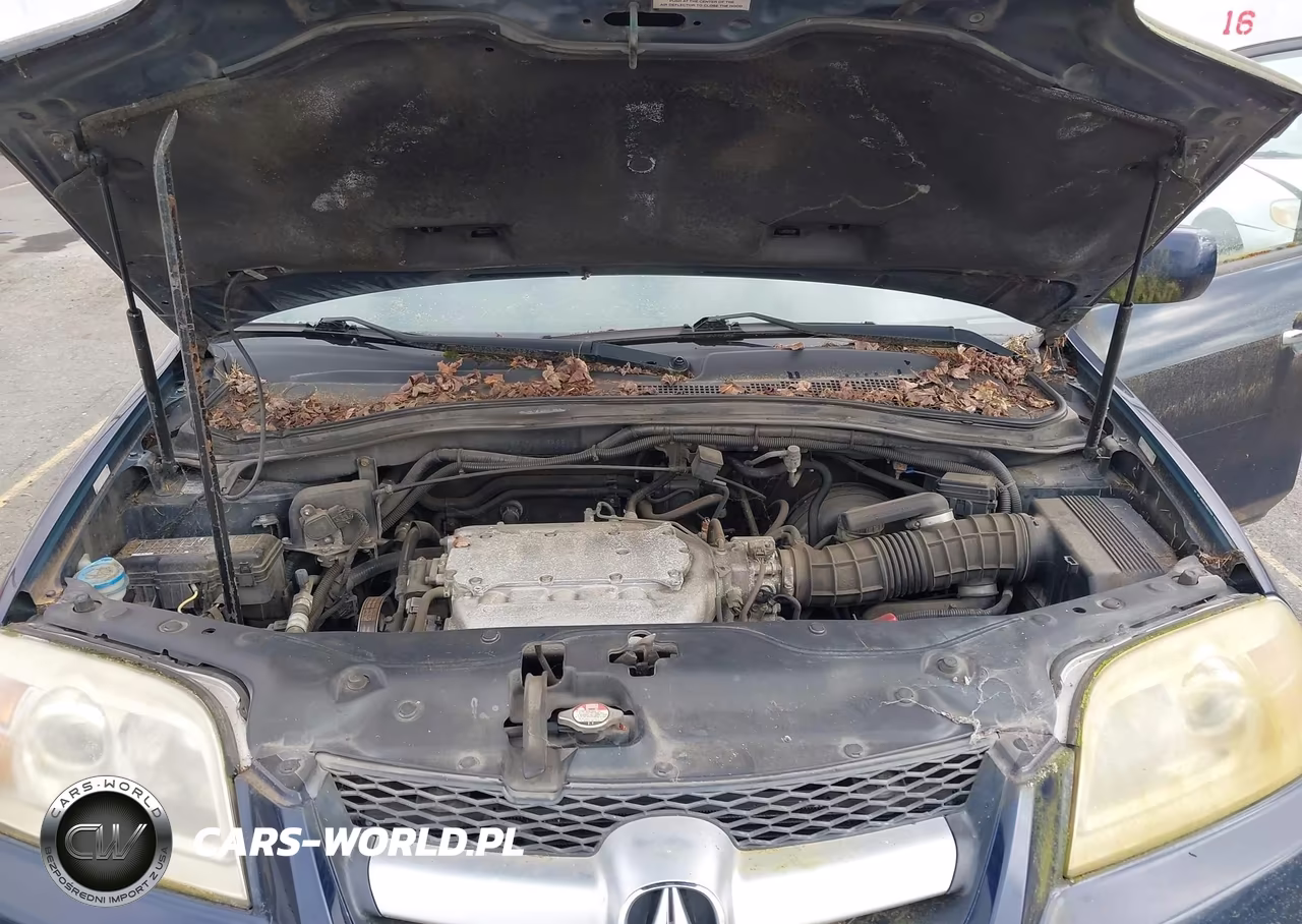 2004 Acura Mdx VIN:2HNYD18614H506566 - 10