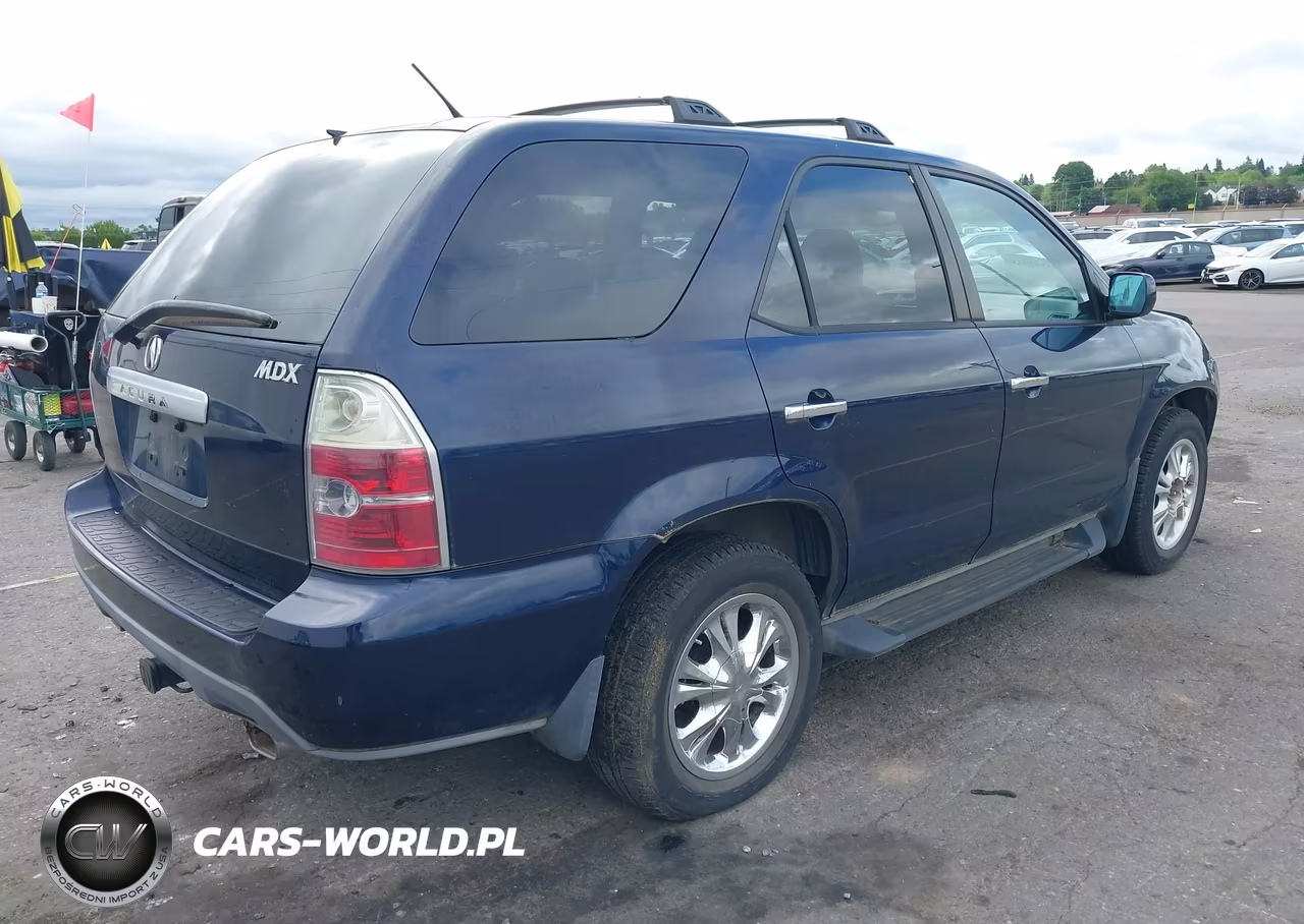2004 Acura Mdx VIN:2HNYD18614H506566 - 4