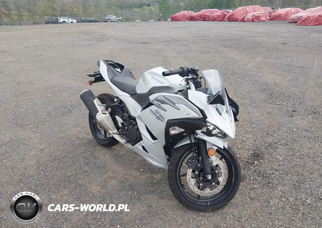 2025 Kawasaki Ex500 H