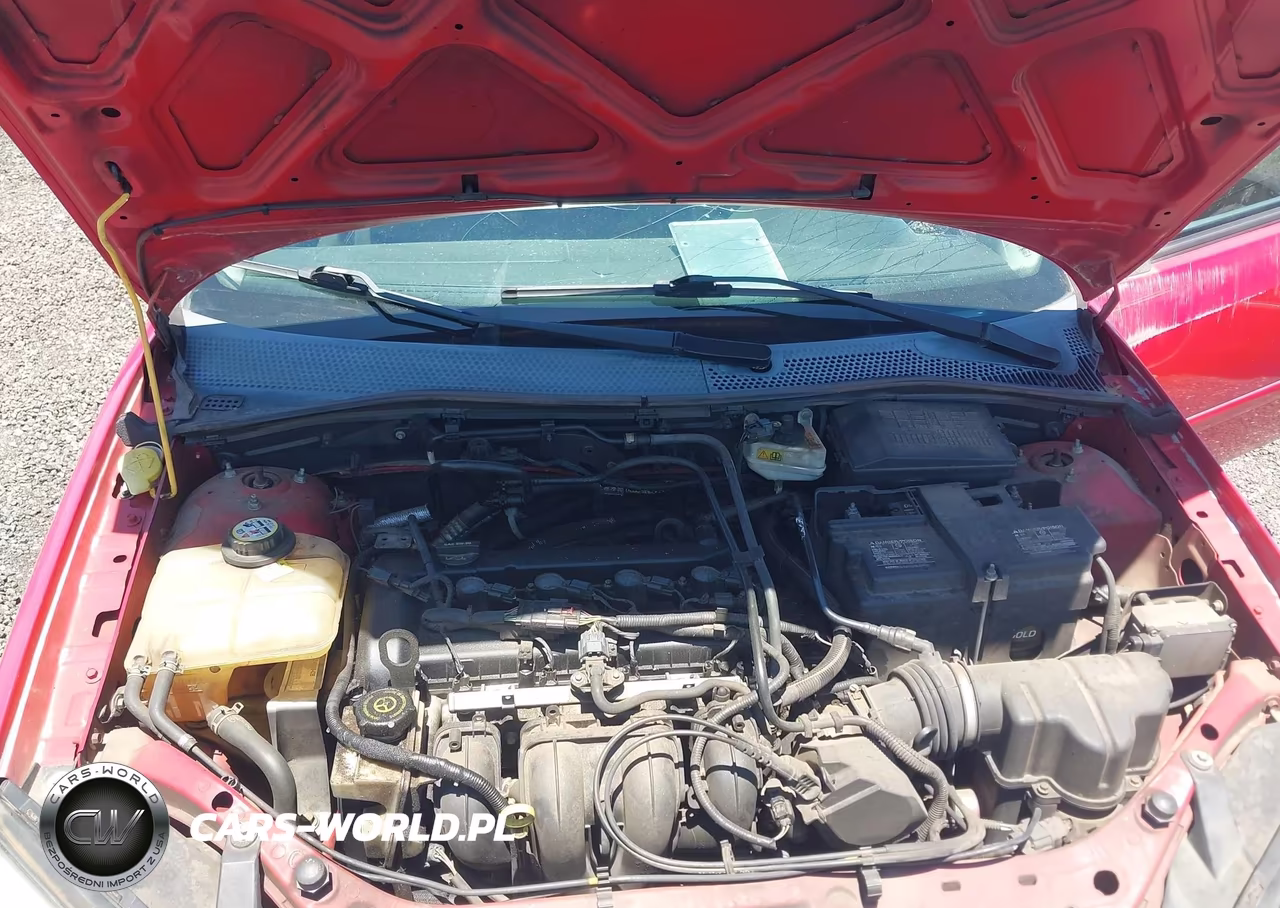 2006 Ford Focus Zx3 VIN:1FAFP31N56W194831 - 10