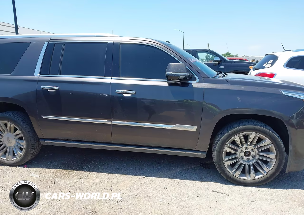 2016 Cadillac Escalade Esv Platinum VIN:1GYS4KKJXGR401716 - 13