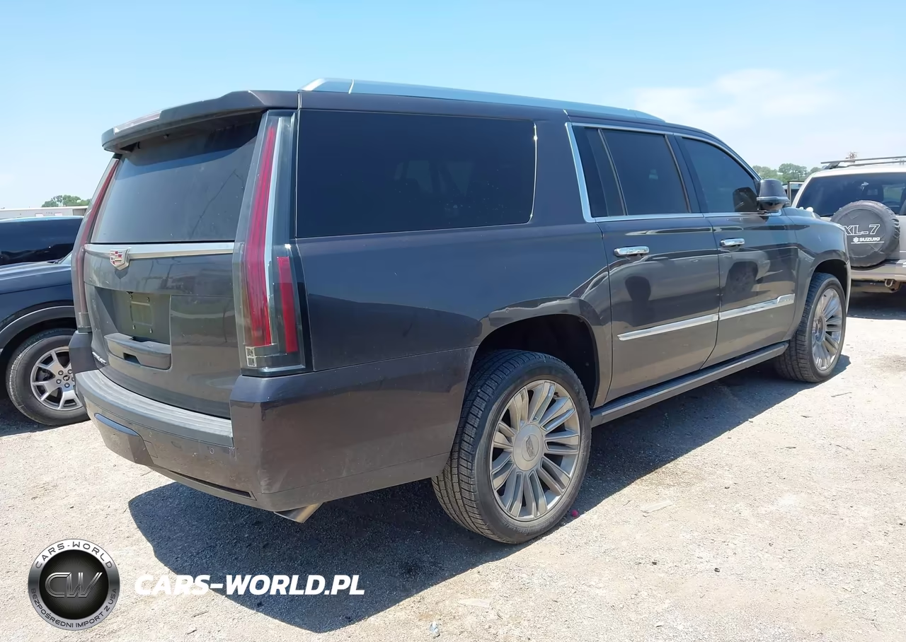2016 Cadillac Escalade Esv Platinum VIN:1GYS4KKJXGR401716 - 4