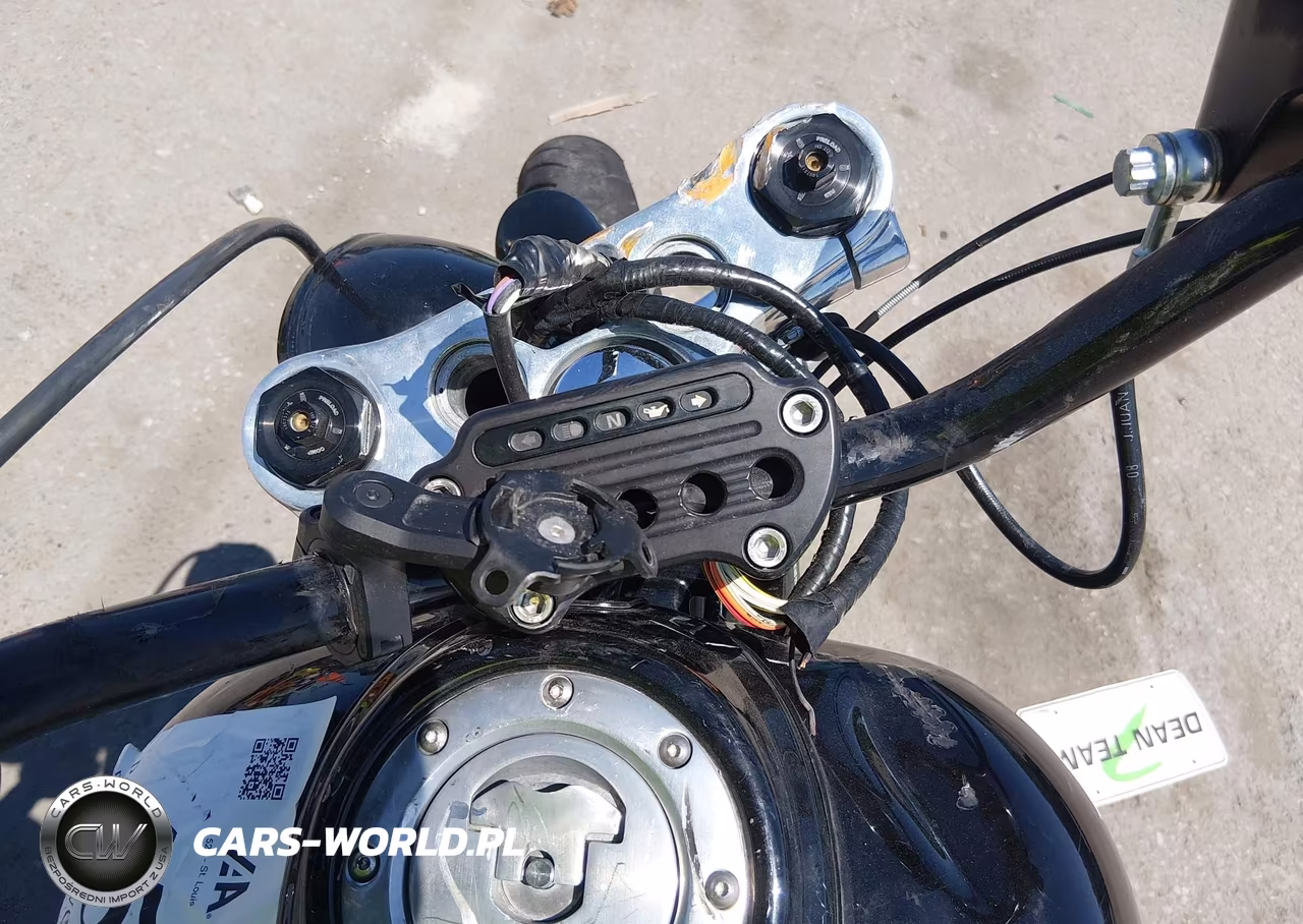 2009 Harley-Davidson Fxd VIN:1HD1GM4139K325252 - 7
