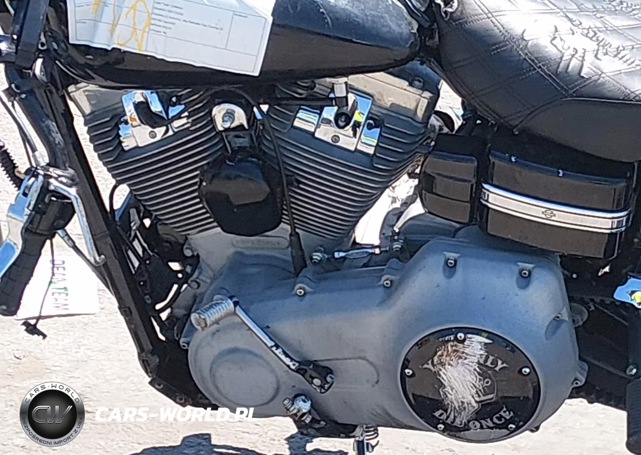2009 Harley-Davidson Fxd VIN:1HD1GM4139K325252 - 9
