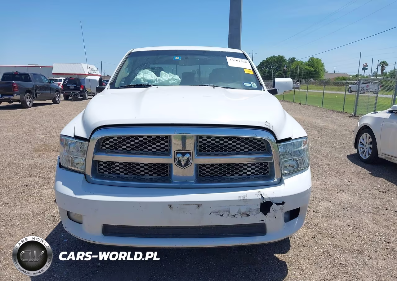 2010 Dodge Ram 1500 Slt-Sport-Trx VIN:1D7RB1CT3AS176436 - 12