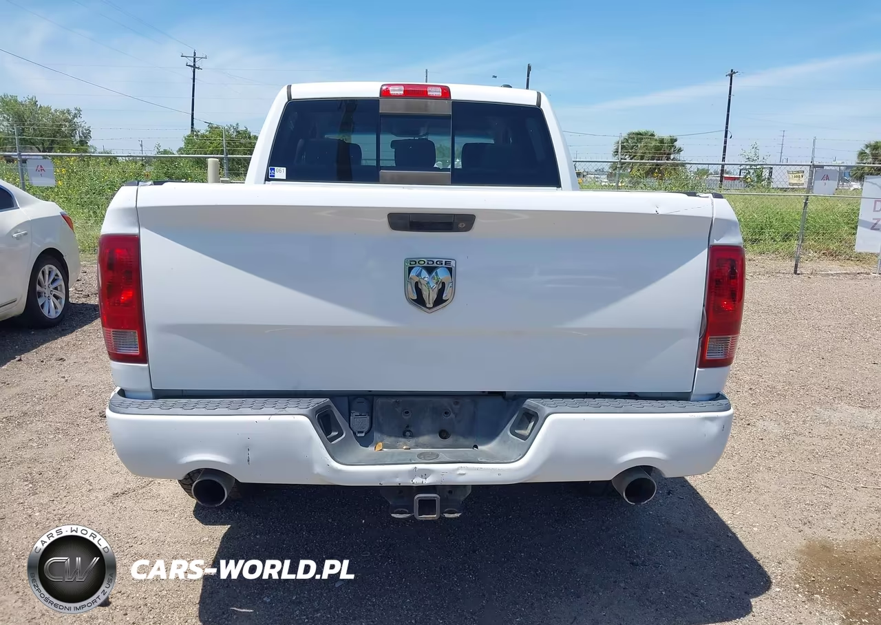 2010 Dodge Ram 1500 Slt-Sport-Trx VIN:1D7RB1CT3AS176436 - 16
