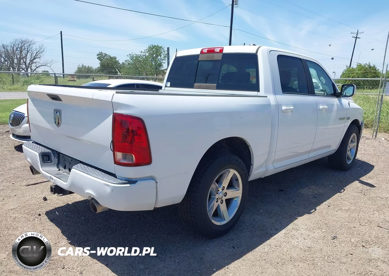 2010 Dodge Ram 1500 Slt-Sport-Trx VIN:1D7RB1CT3AS176436 - 4